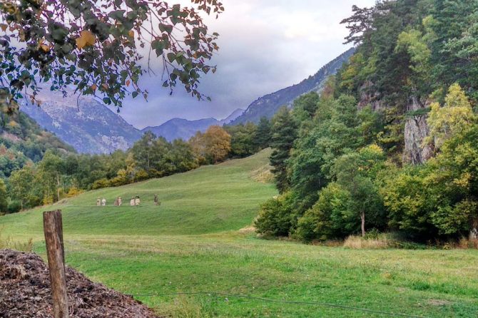 5 rutas para disfrutar de la naturaleza de Andorra estando embarazada